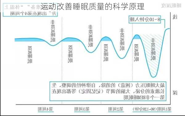 运动改善睡眠质量的科学原理