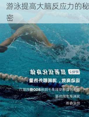 游泳提高大脑反应力的秘密