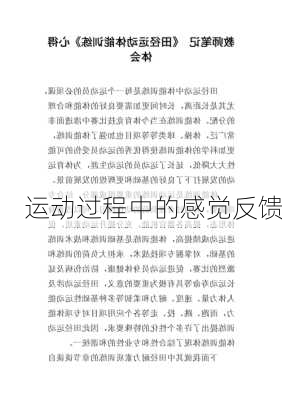运动过程中的感觉反馈