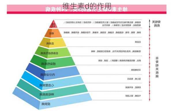 维生素d的作用