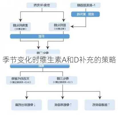 季节变化时维生素A和D补充的策略