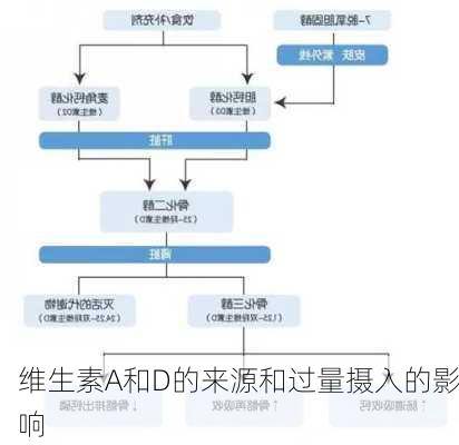 维生素A和D的来源和过量摄入的影响