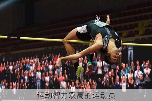 运动智力双高的运动员