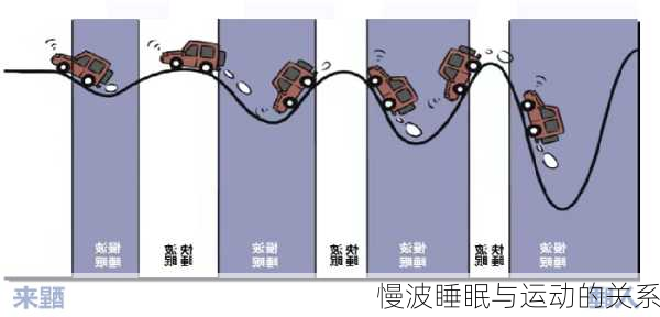慢波睡眠与运动的关系