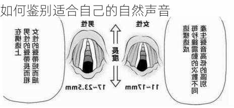 如何鉴别适合自己的自然声音