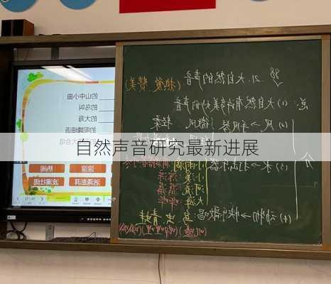 自然声音研究最新进展