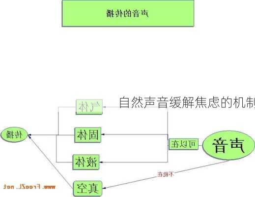 自然声音缓解焦虑的机制