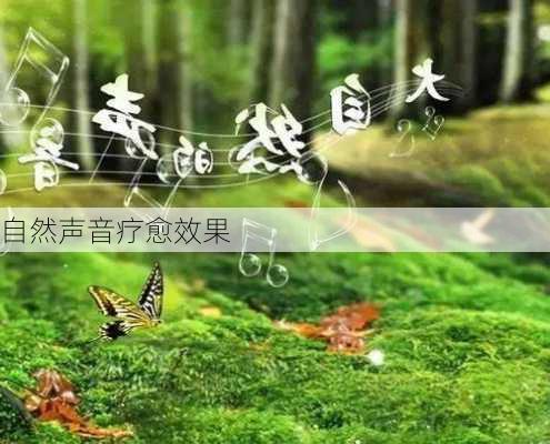 自然声音疗愈效果