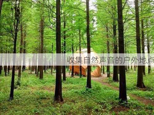 收集自然声音的户外地点