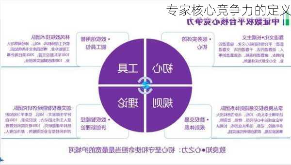 专家核心竞争力的定义