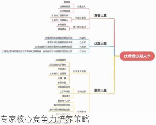 专家核心竞争力培养策略