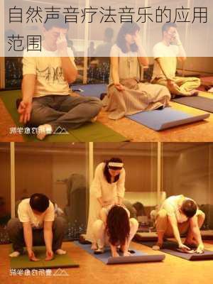 自然声音疗法音乐的应用范围