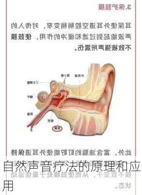 自然声音疗法的原理和应用