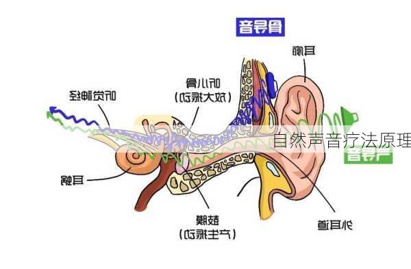 自然声音疗法原理