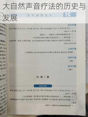 大自然声音疗法的历史与发展