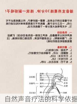 自然声音疗法的科学依据