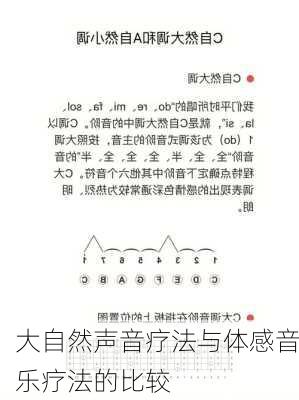 大自然声音疗法与体感音乐疗法的比较