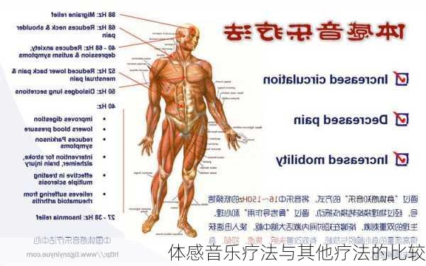 体感音乐疗法与其他疗法的比较