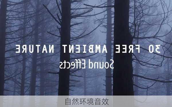 自然环境音效