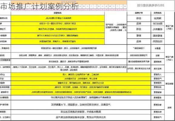市场推广计划案例分析