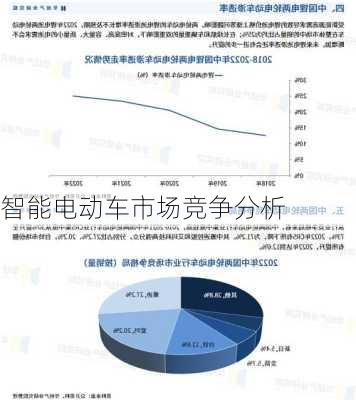 智能电动车市场竞争分析
