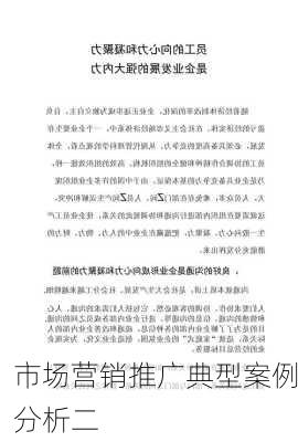 市场营销推广典型案例分析二
