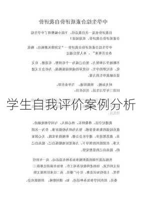 学生自我评价案例分析