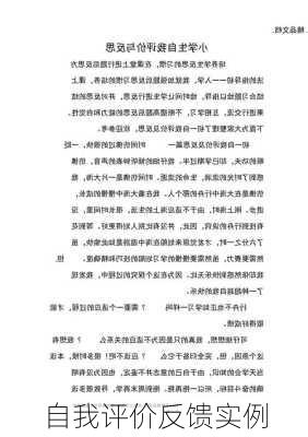 自我评价反馈实例