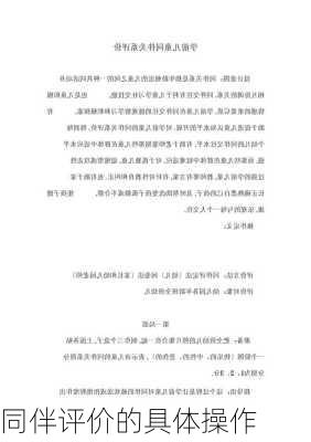 同伴评价的具体操作
