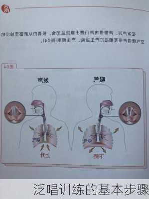 泛唱训练的基本步骤