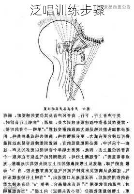 泛唱训练步骤