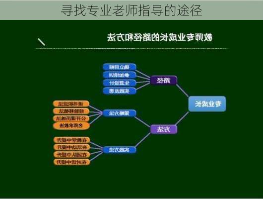 寻找专业老师指导的途径