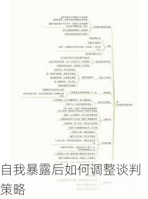 自我暴露后如何调整谈判策略