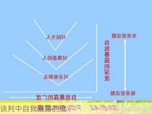 谈判中自我暴露的度