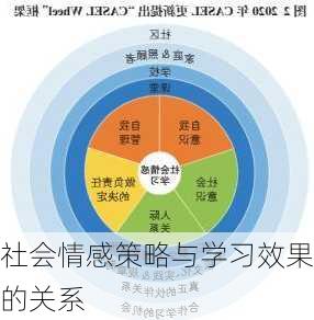 社会情感策略与学习效果的关系