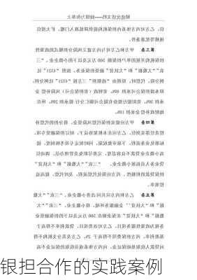 银担合作的实践案例