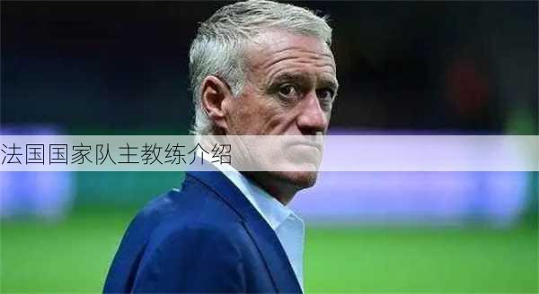 法国国家队主教练介绍