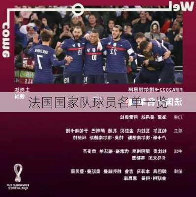 法国国家队球员名单一览