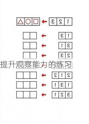 提升观察能力的练习