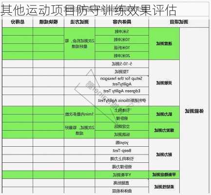 其他运动项目防守训练效果评估