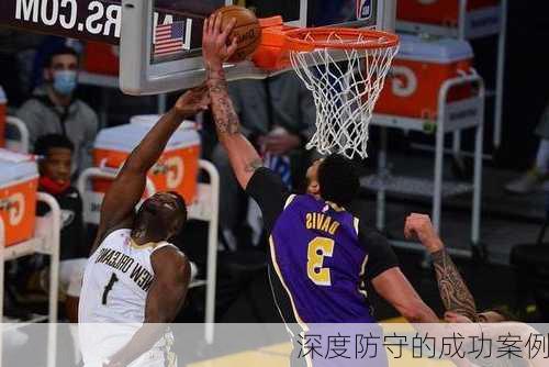 深度防守的成功案例