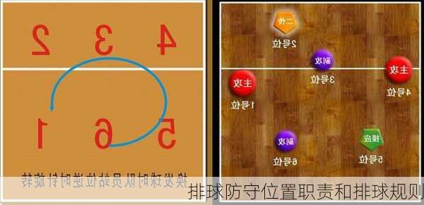 排球防守位置职责和排球规则