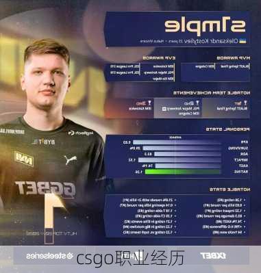 csgo职业经历