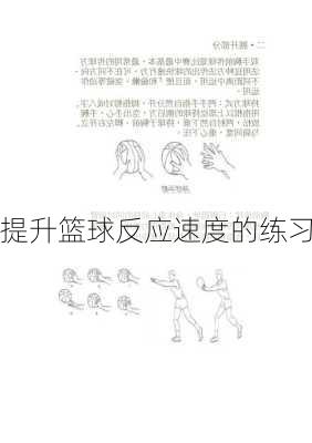 提升篮球反应速度的练习