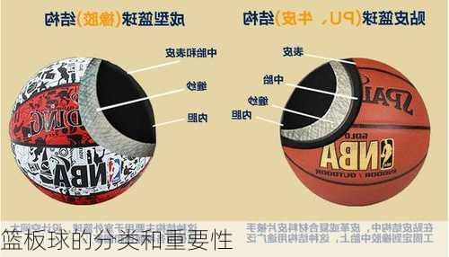 篮板球的分类和重要性