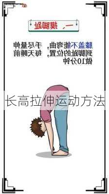 长高拉伸运动方法