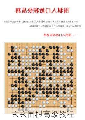 玄玄围棋高级教程