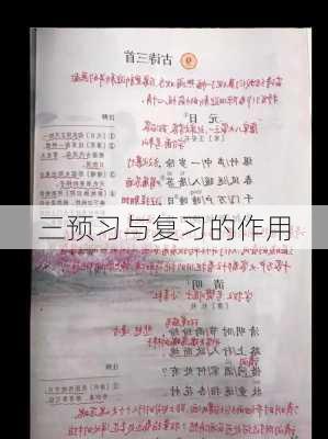 三预习与复习的作用