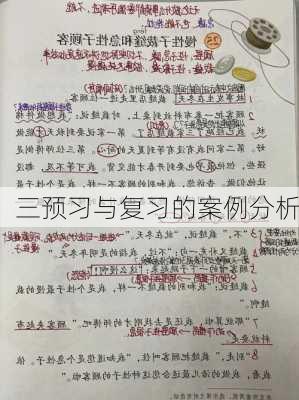 三预习与复习的案例分析