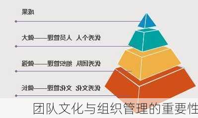 团队文化与组织管理的重要性